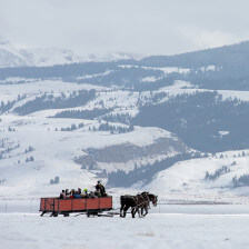 Un paseo en trineo por el National Elk Refuge en Jackson Hole, Wyoming