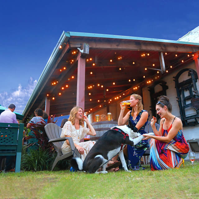 Disfrutando de cervezas locales en Green Bench Brewing Company en St. Petersburg, Florida